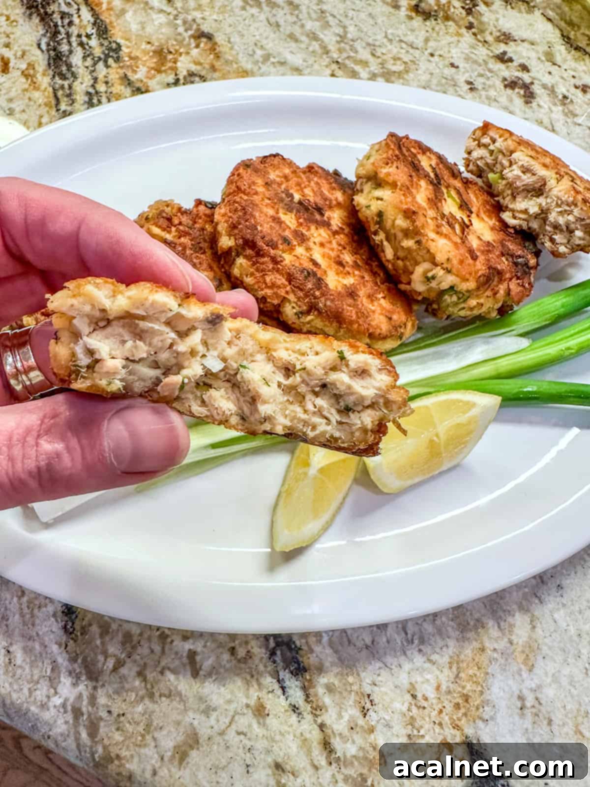 A salmon patty cut in half and held in a hand over a plate.
