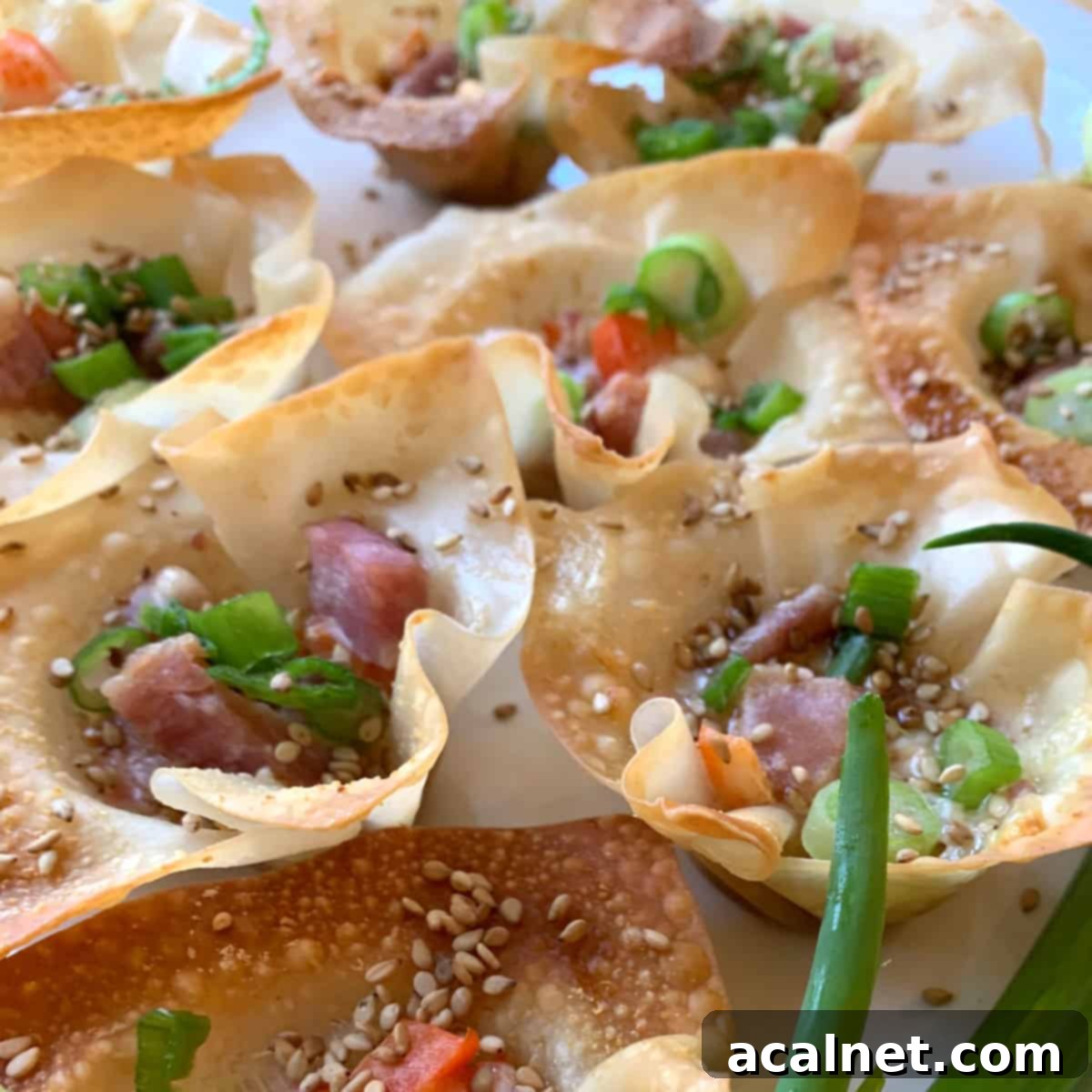 A beautifully presented platter of Pork Wonton Stars, garnished with fresh green onions and sesame seeds, ready for serving.