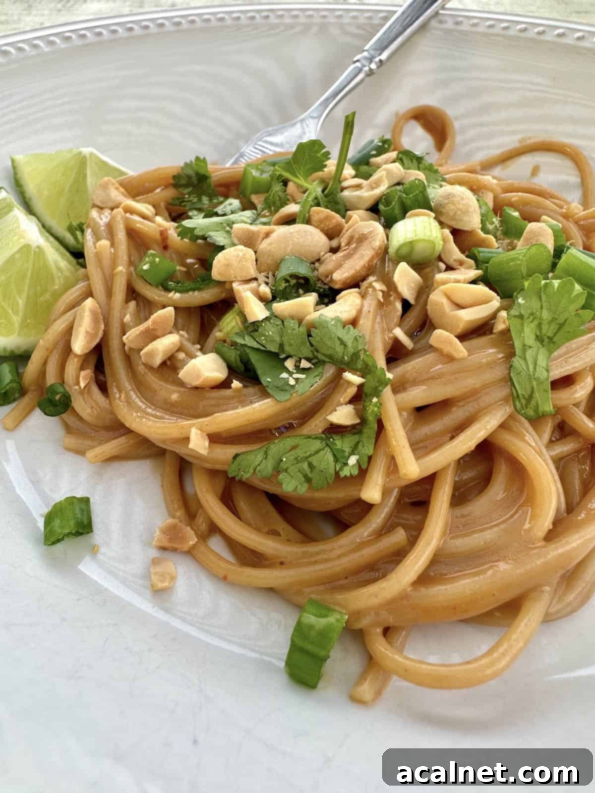 Spaghetti noodles on a plate with a fork, topped with chopped onions, cilantro and peanuts.