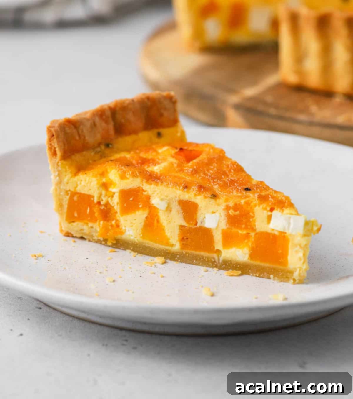 One slice of quiche on a white plate.