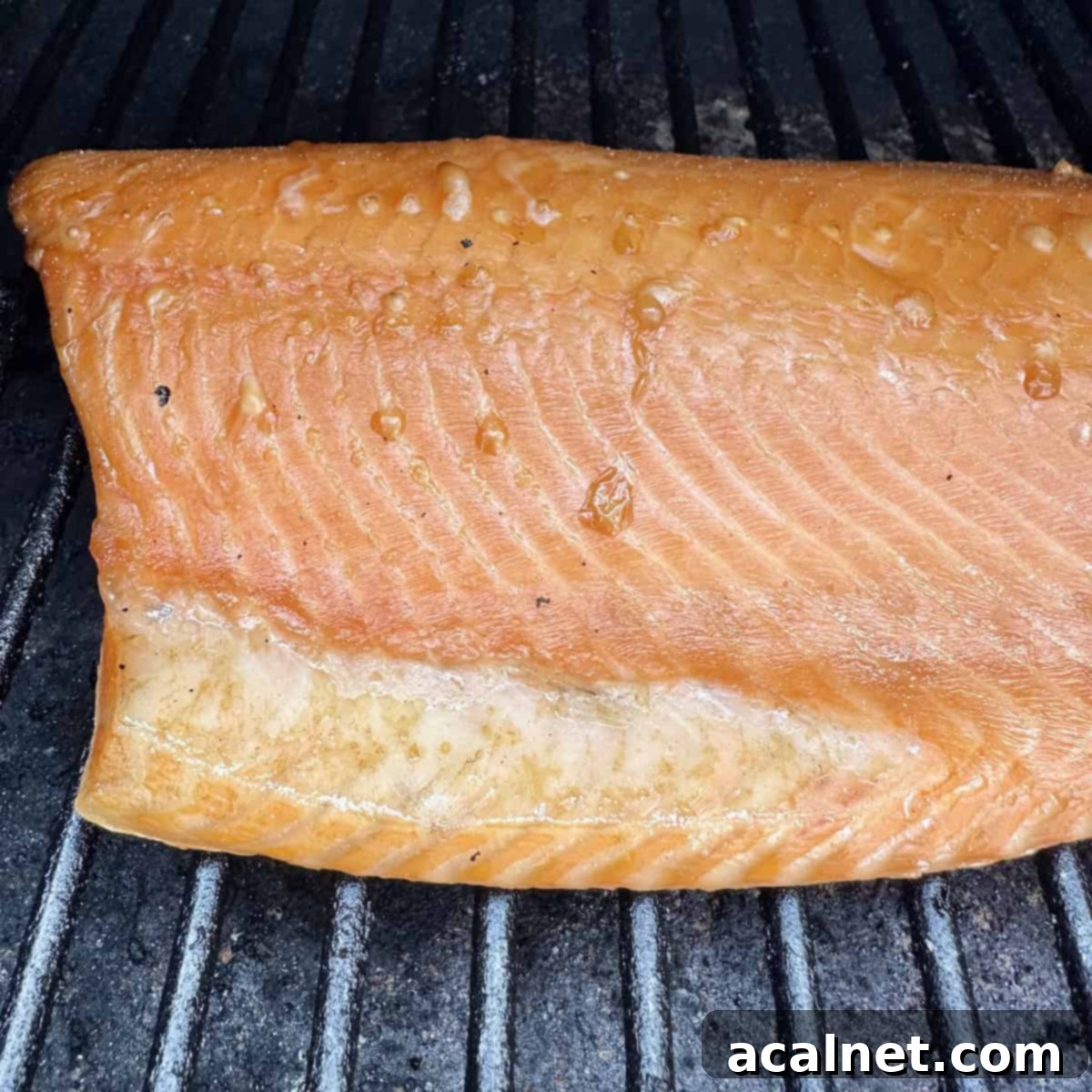 A perfectly smoked piece of salmon resting on the grates of a pellet grill, showcasing its flaky texture and golden-brown exterior.