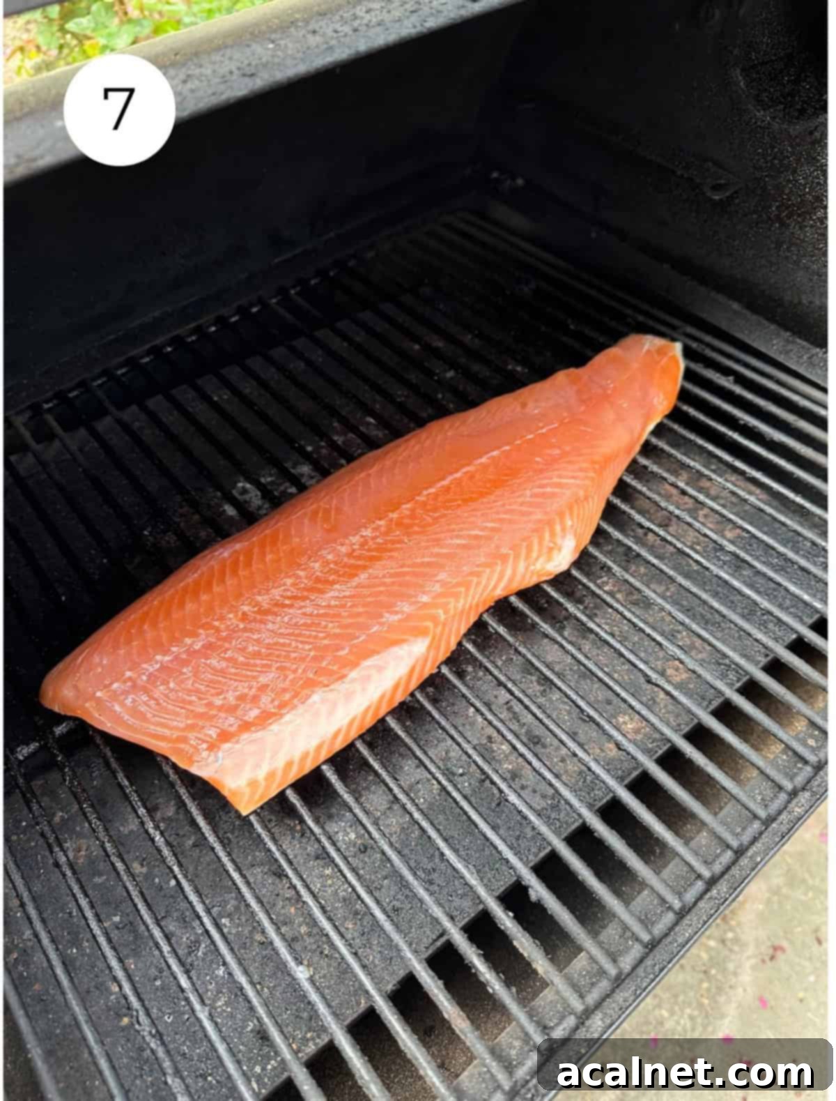 Smoked salmon cooking on a pellet grill, with smoke gently rising, showcasing the initial stages of the smoking process.