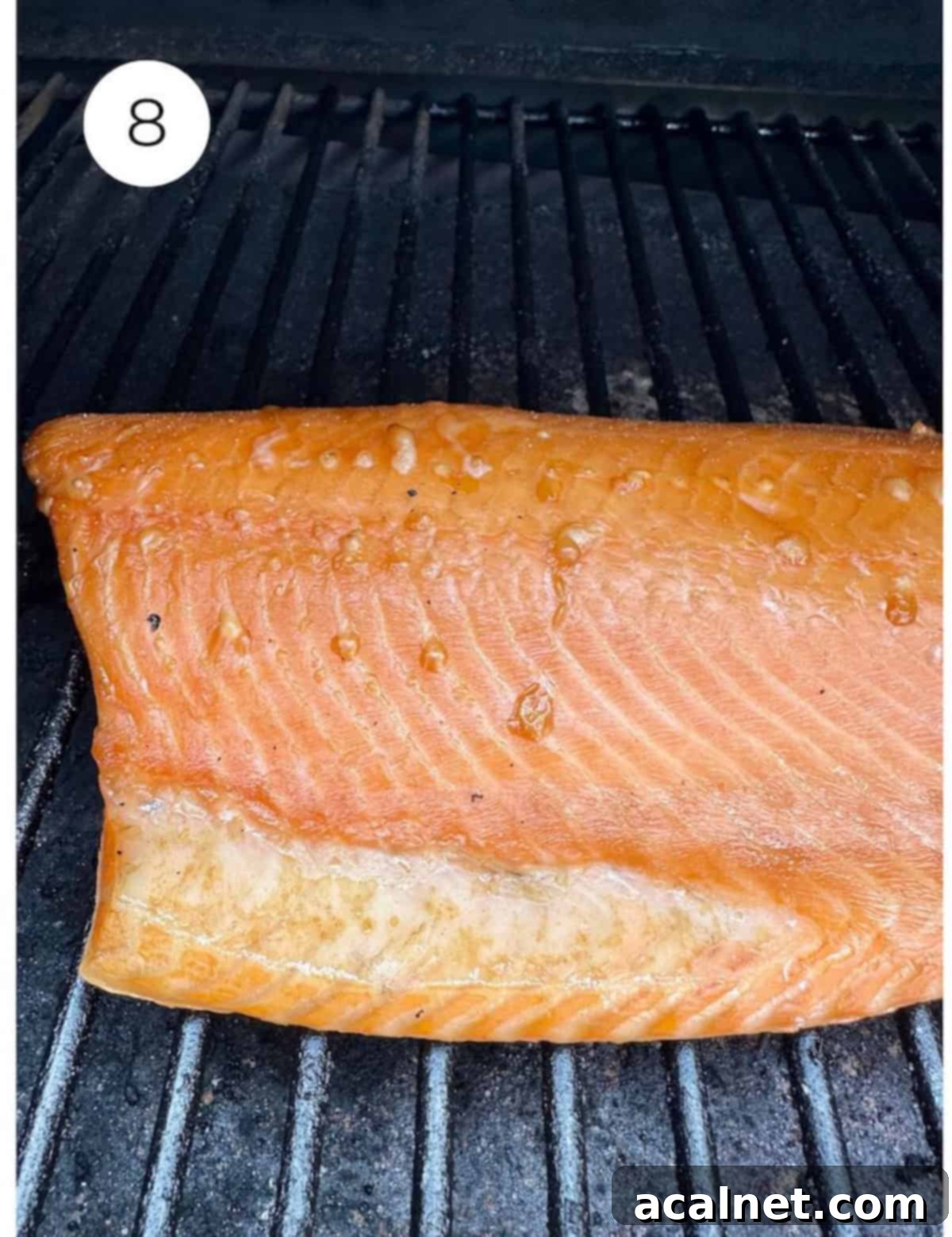 A perfectly cooked smoked salmon fillet on a Traeger grill, showing the golden-brown color and flaky texture, with a meat thermometer probe inserted.