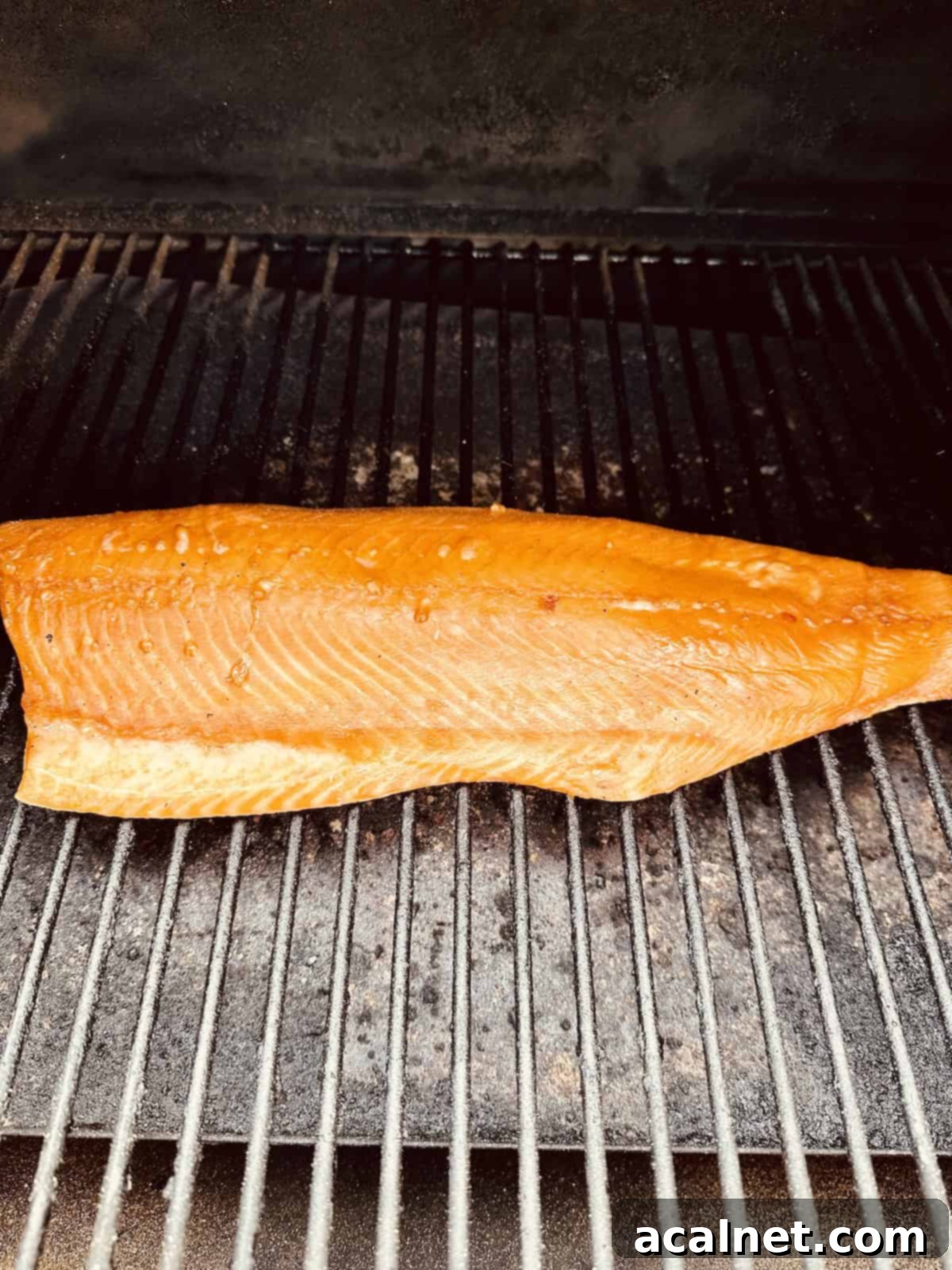 A close-up of a fully cooked smoked salmon fillet on a Traeger grill, highlighting its rich color and caramelized edges.
