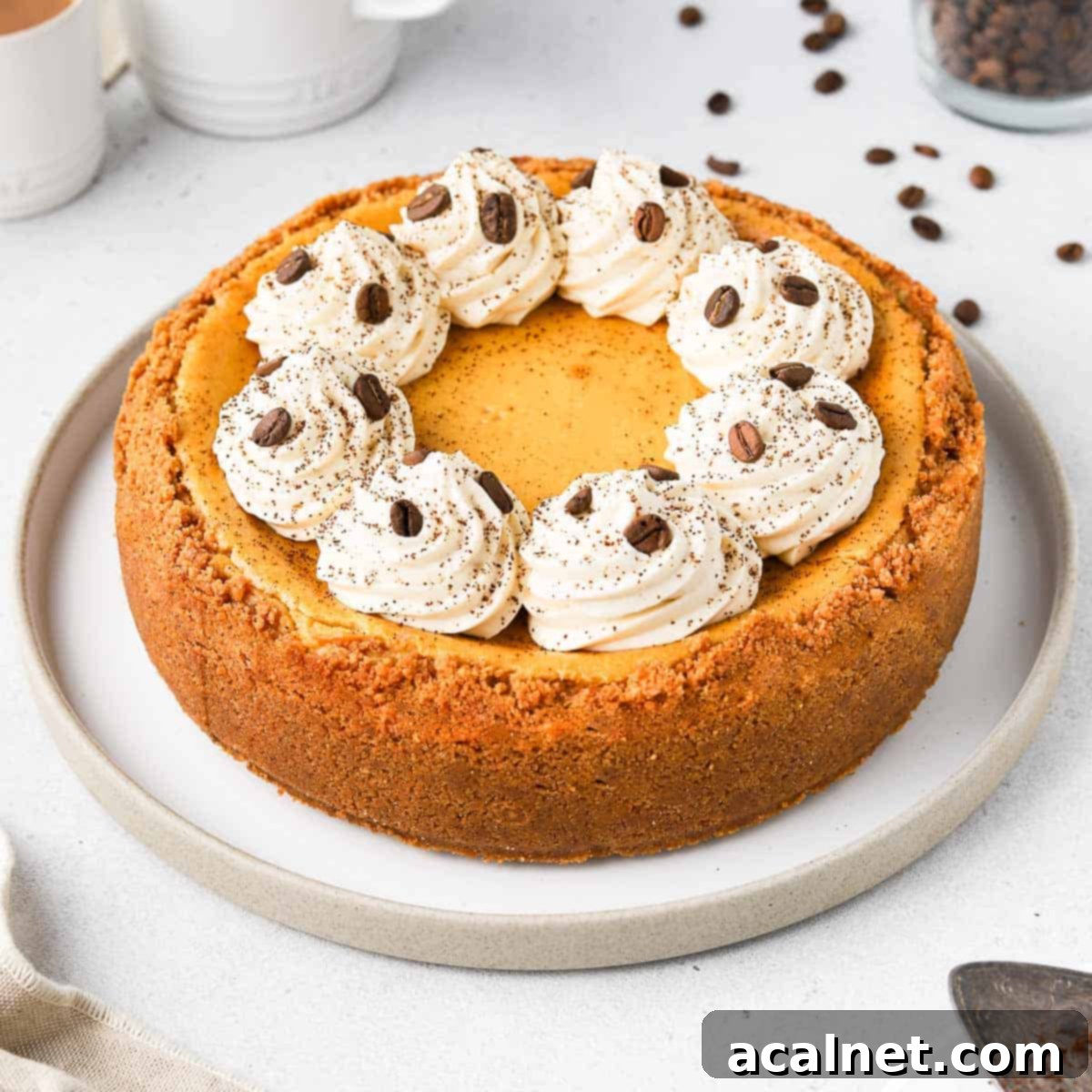 Coffee Cheesecake on a round white plate.