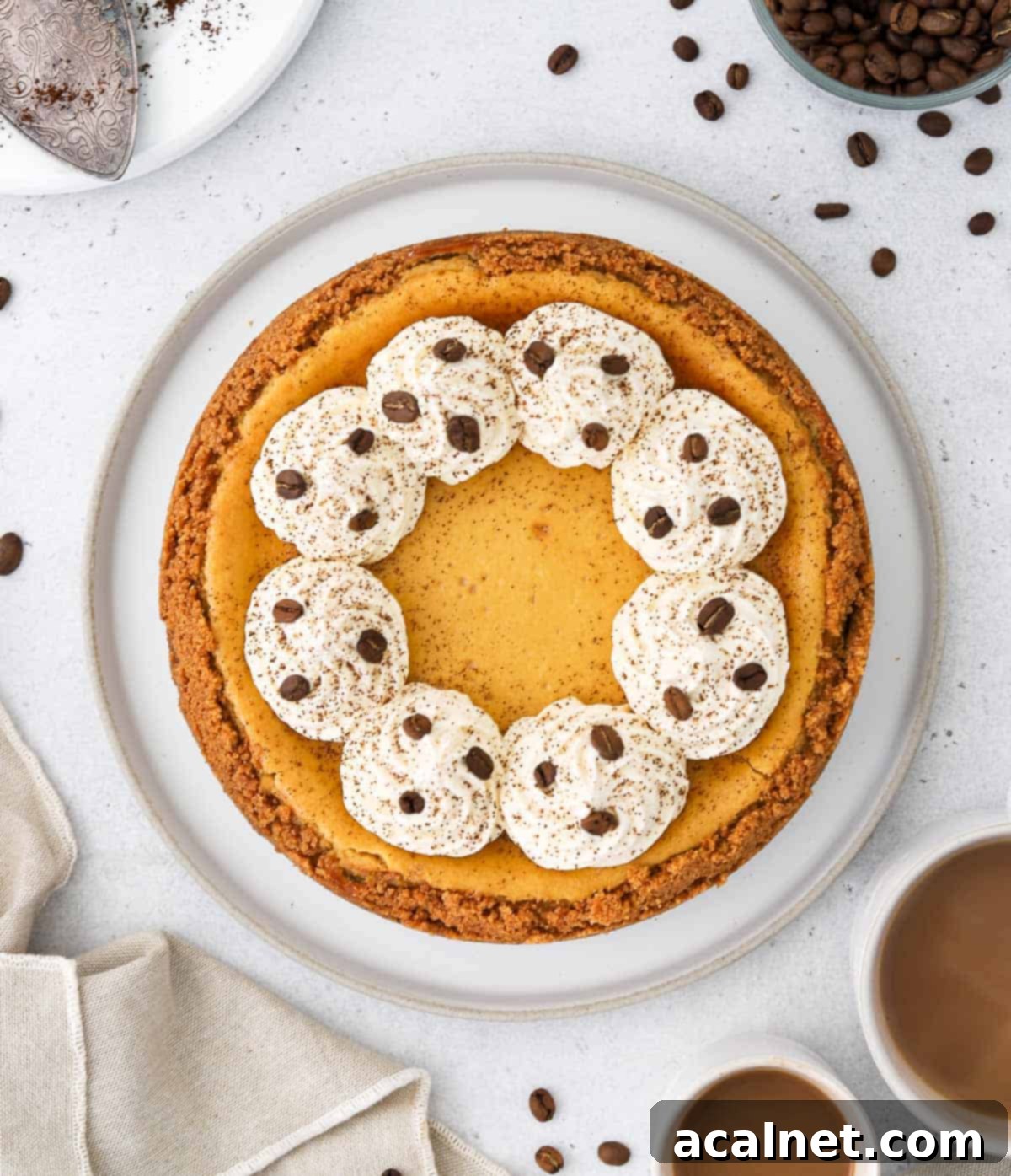 Cheesecake on a white plate seen from above.