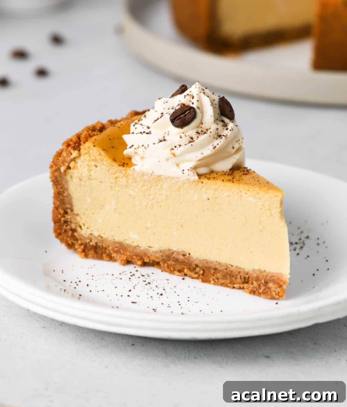 One slice of cake on a white plate.