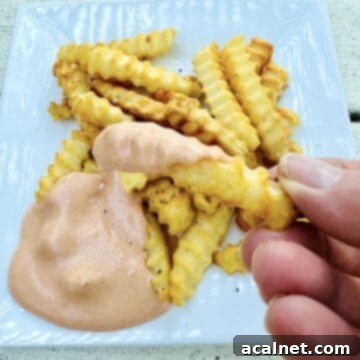 Ultimate Fry Dip 9 French fries on a plate with french fry sauce.