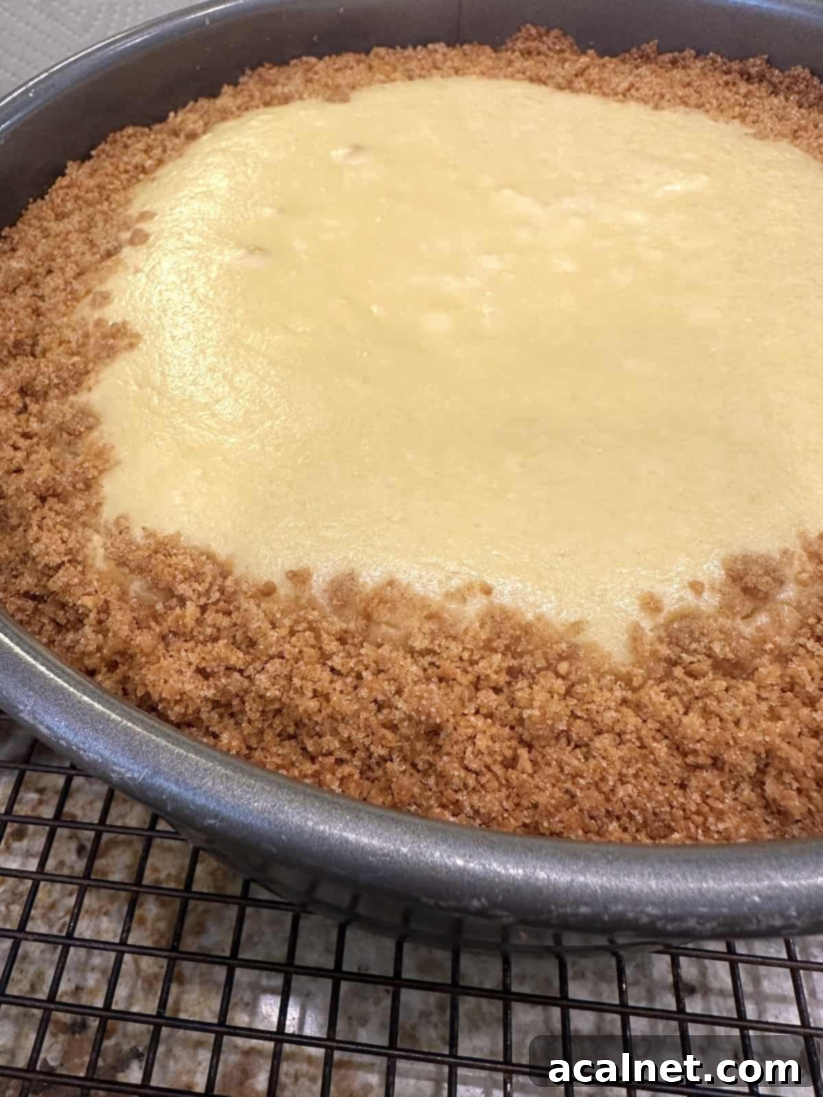 A beautifully golden-brown baked vanilla cheesecake, still in its springform pan, cooling on a wire rack.