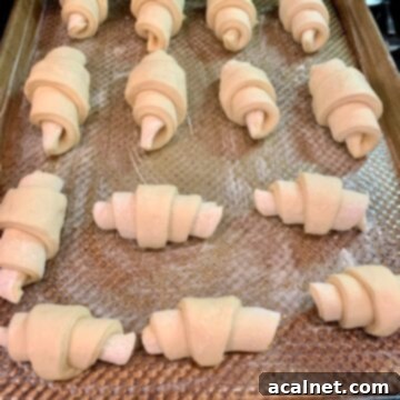 Unbaked potato rolls on a baking pan in the oven