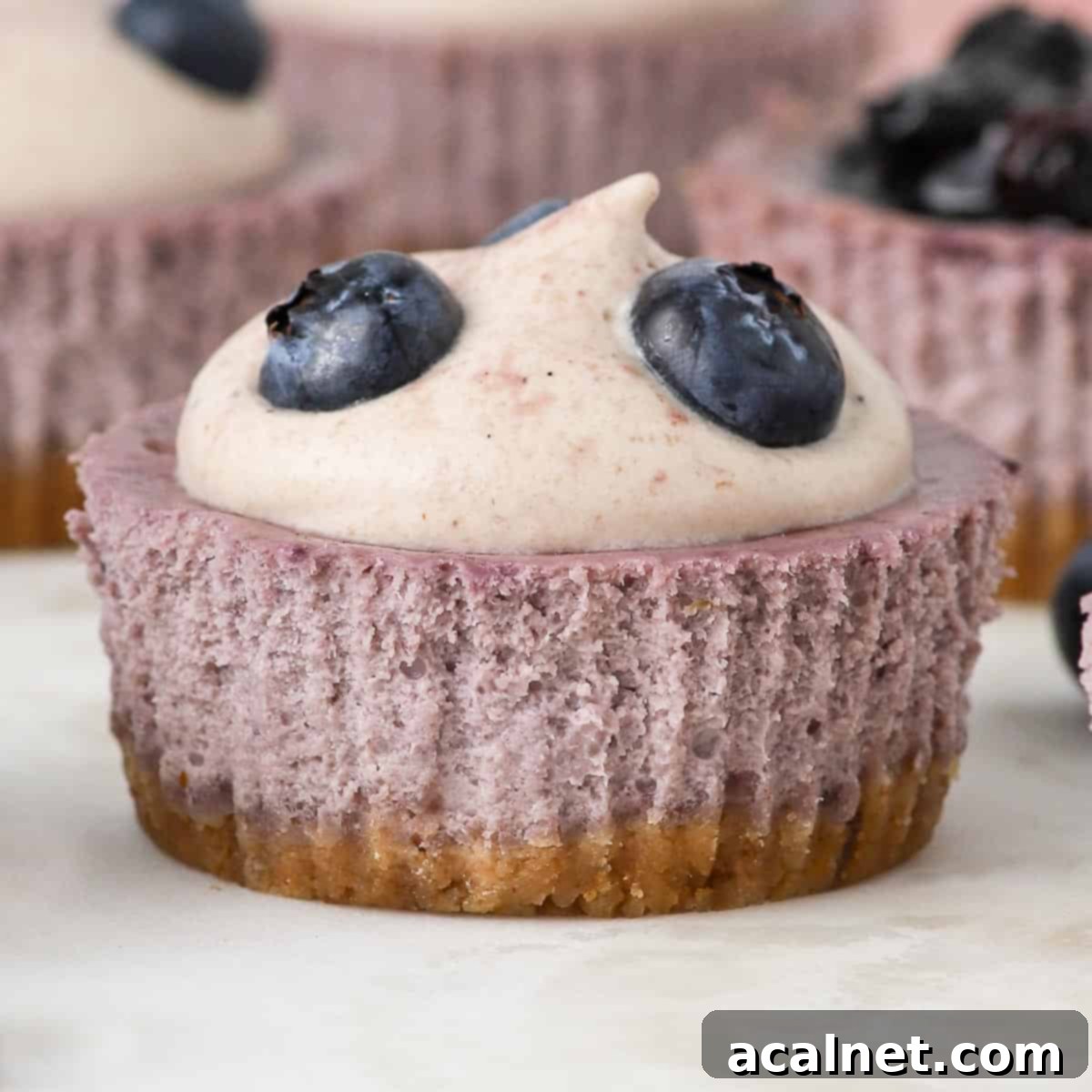 Blueberry Bliss Mini Cheesecakes 2 Close up on one mini blueberry cheesecake topped with luscious blueberry whipped cream and fresh blueberries, ready to be enjoyed.