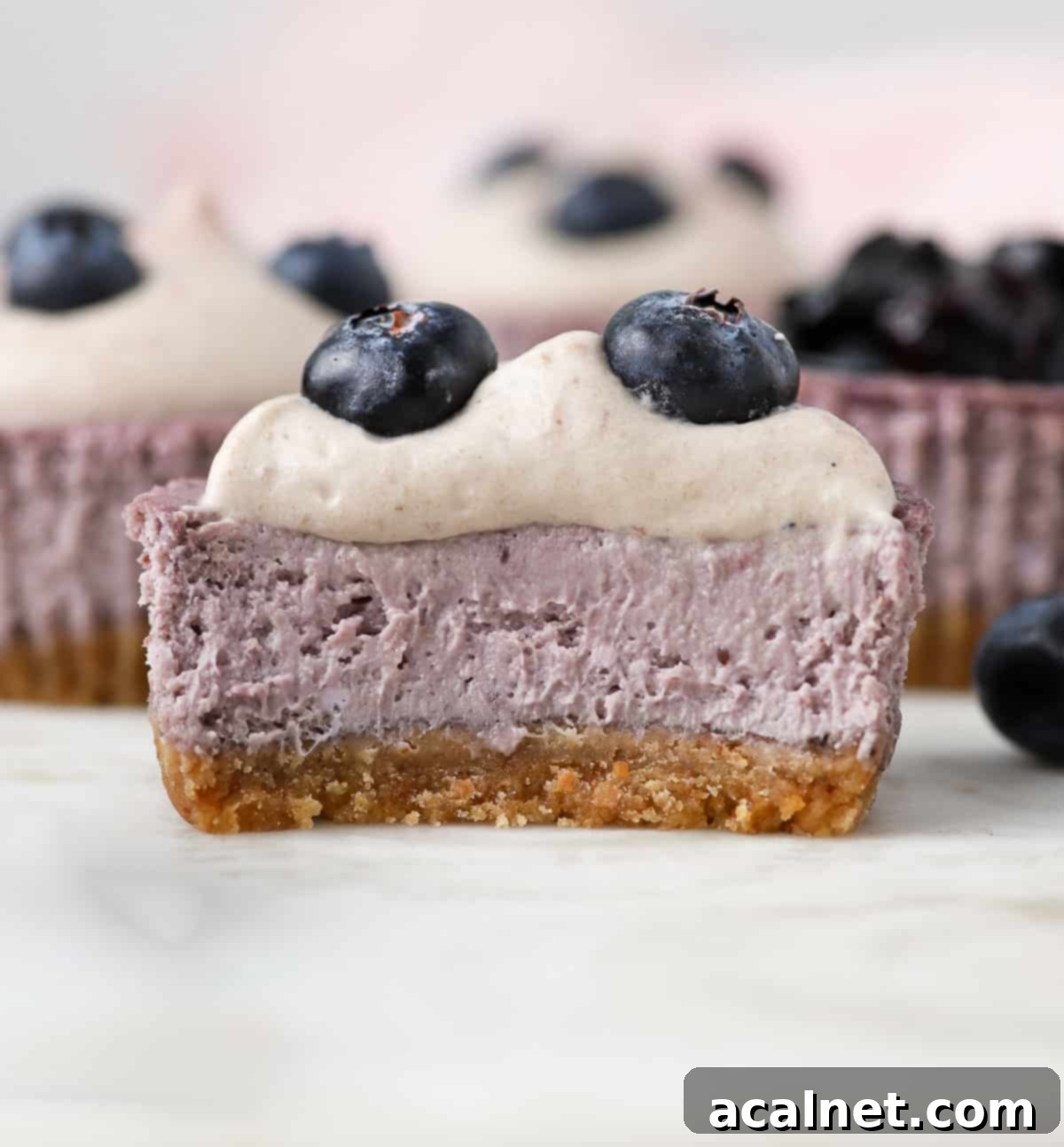 Blueberry Bliss Mini Cheesecakes 9 A mini cheesecake cut in half, revealing the perfect creamy texture of the blueberry filling and the crisp cookie crust.