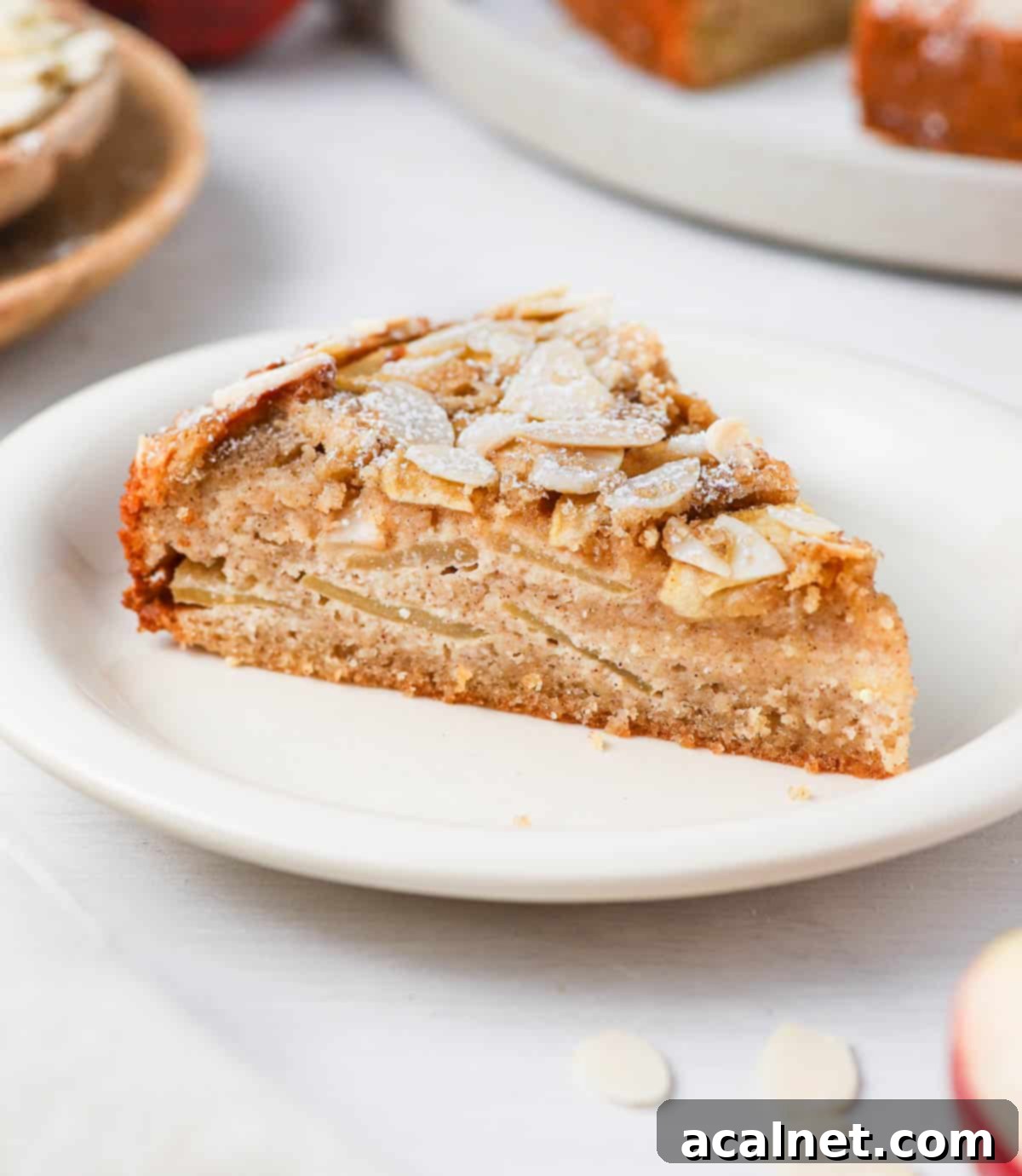 Heavenly Gluten-Free Apple Almond Cake 9 A single slice of moist apple almond cake placed on a small white plate, ready to be enjoyed.