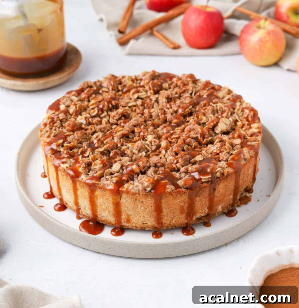 Spiced Apple Crumble Cheesecake 8 A slice of apple crumble cheesecake on a white and grey plate, showing the distinct layers.