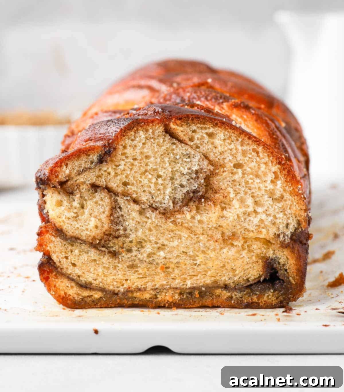 Close-up crumb shot of a Cinnamon Babka slice, revealing the delicate, swirled layers of cinnamon filling and soft bread texture.