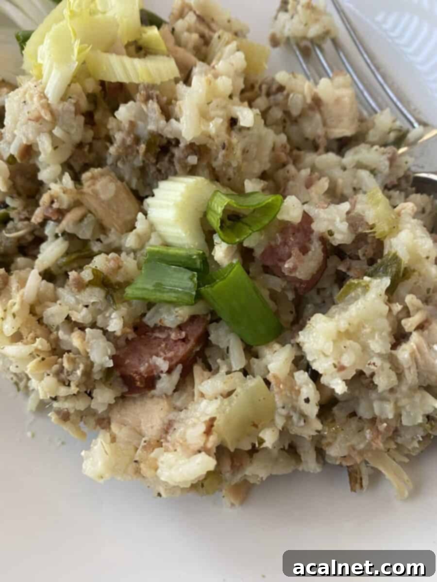 Fluffy rice and a variety of meats in a scoop of jambalaya, ready to eat.