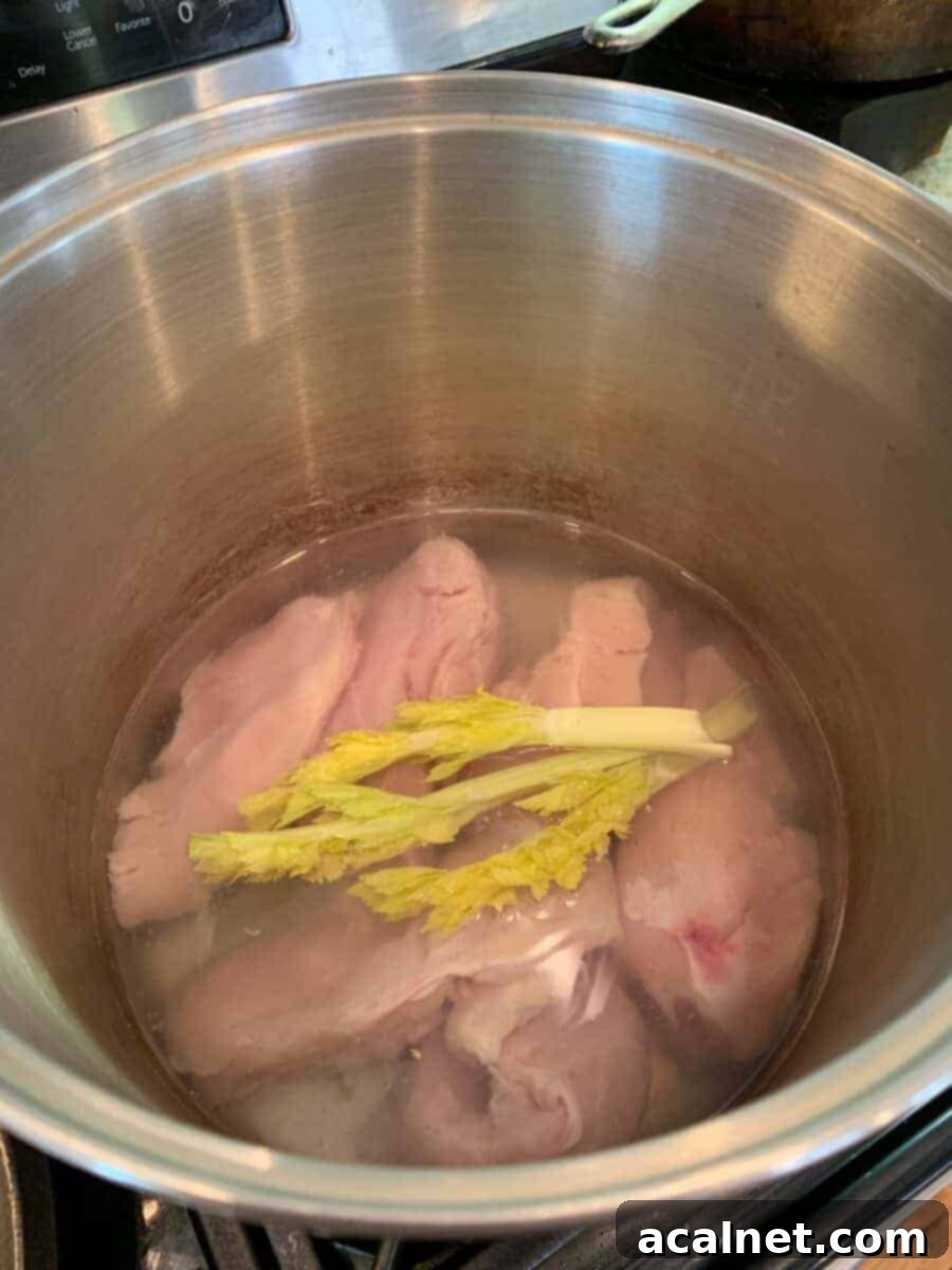 Raw chicken breasts and celery with water in a large stockpot, preparing to cook.