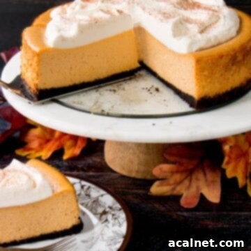 A whole pumpkin cheesecake on a serving platter with one slice removed, revealing its creamy texture.