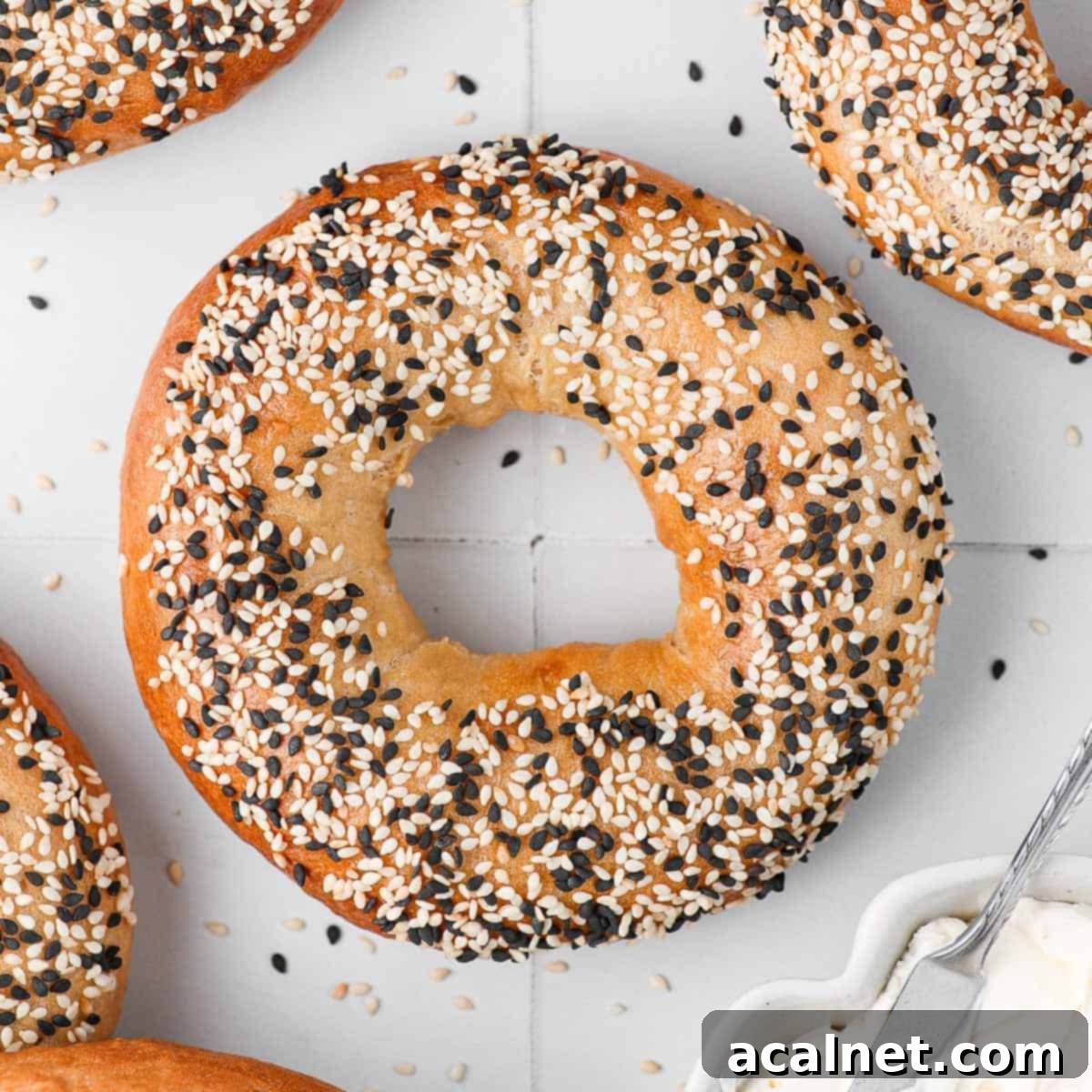 Close up on a golden-brown sesame bagel, showcasing its texture and sesame seed coating.