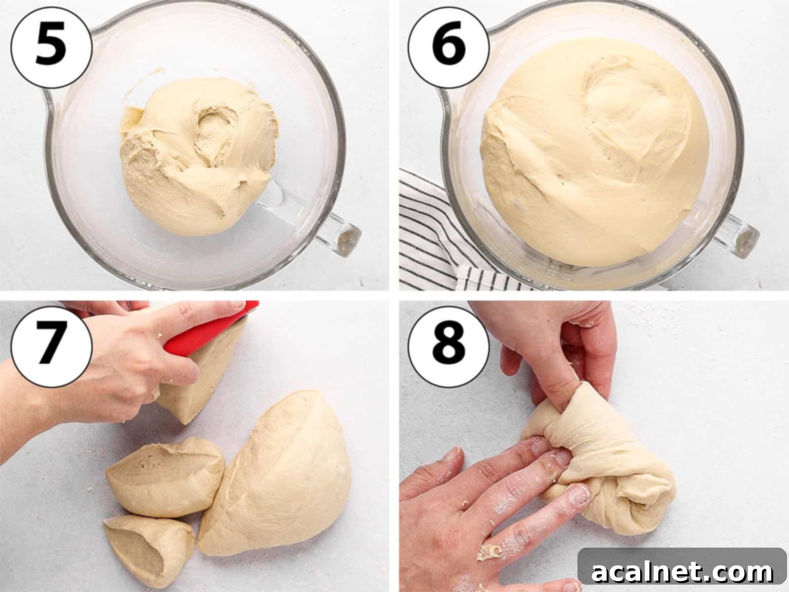 process Shot Collage: showing the bagel dough proofing in a bowl and then being divided into 8 pieces.