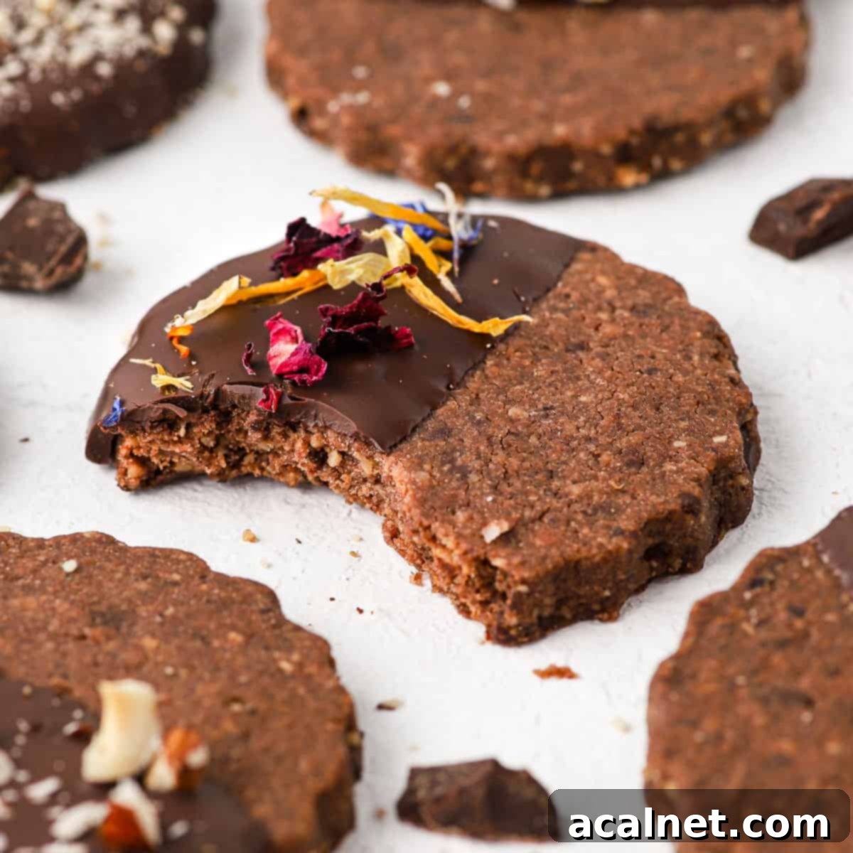Close up on a chocolate hazelnut shortbread cookie with a bite taken off.