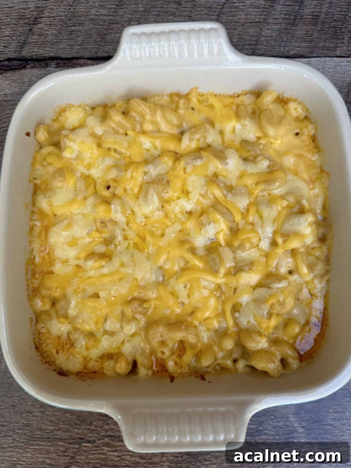 A baking dish full of mac and cheese with melted cheese on top.