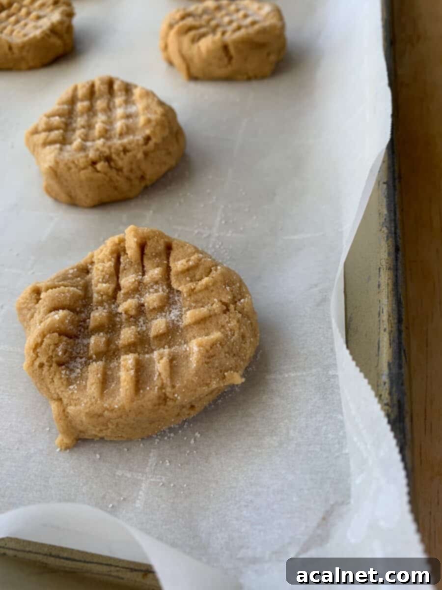 Grandma's Chewy Peanut Butter Cookies 7 Peanut butter cookies on a baking sheet, each with the classic criss-cross pattern pressed into the dough with a fork.