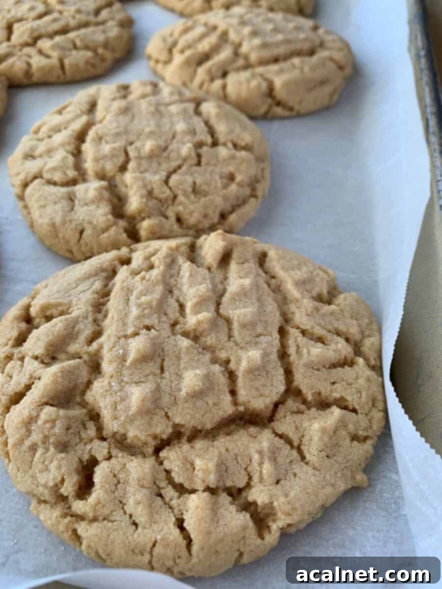 Grandma's Chewy Peanut Butter Cookies 8 Freshly baked peanut butter cookies cooling on parchment paper on a baking sheet.
