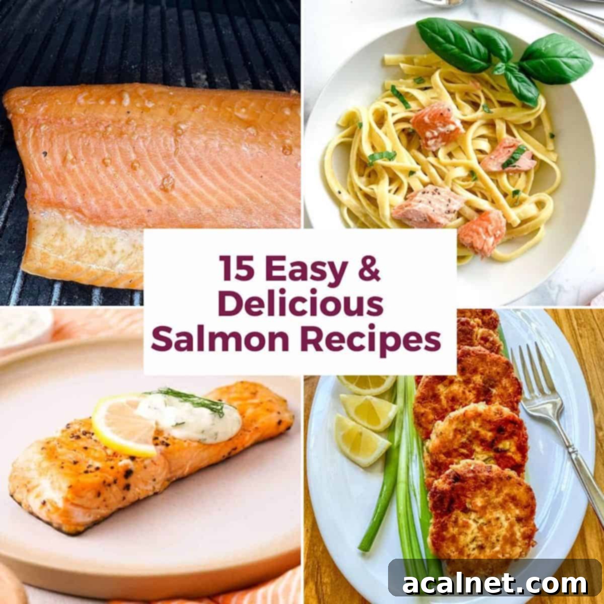 Four photos of various delicious salmon recipes, including pan-fried patties, creamy chowder, glazed fillets, and a sheet pan dinner.