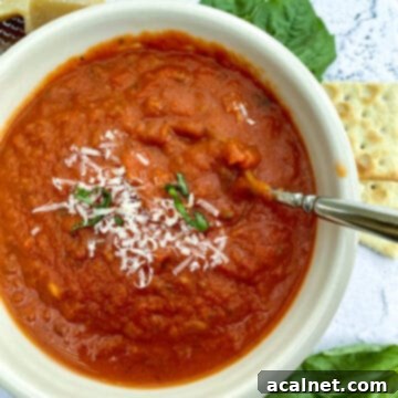 Best Homemade Tomato Basil Soup 8 A bowl of rich, creamy tomato basil soup, garnished with fresh basil, served with crackers, cheese, and a fresh basil sprig on the side.