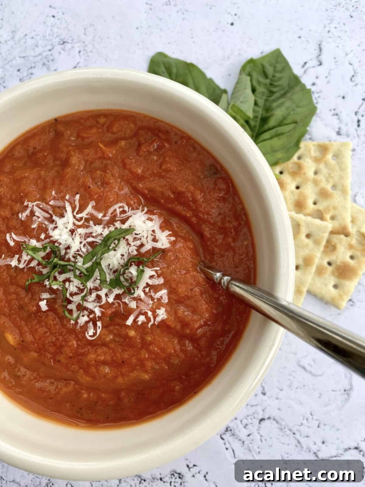 Best Homemade Tomato Basil Soup 4 A beautifully presented bowl of creamy tomato basil soup, garnished with vibrant fresh basil, served alongside a pile of golden, crispy crackers and grated cheese.