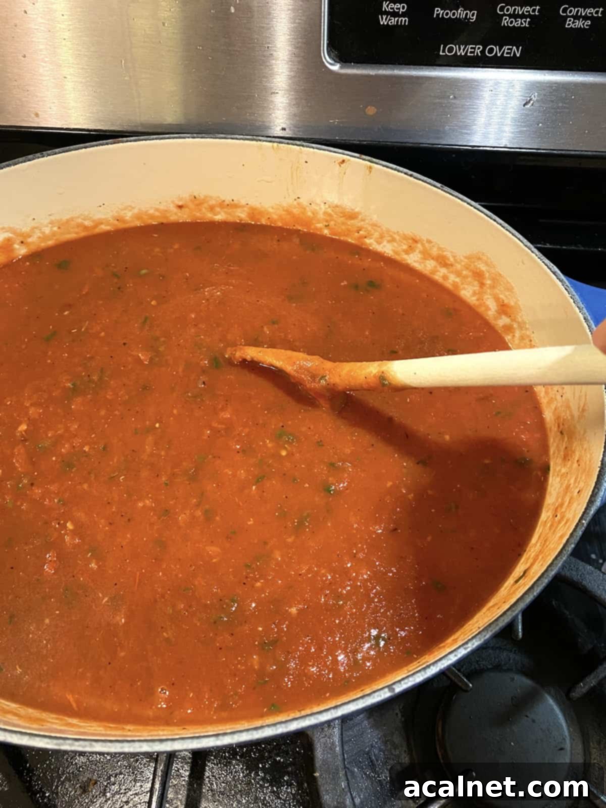 Best Homemade Tomato Basil Soup 5 A large, steaming stock pot brimming with rich, reddish-orange tomato basil soup gently simmers on a stovetop burner, emanating a warm, inviting aroma.