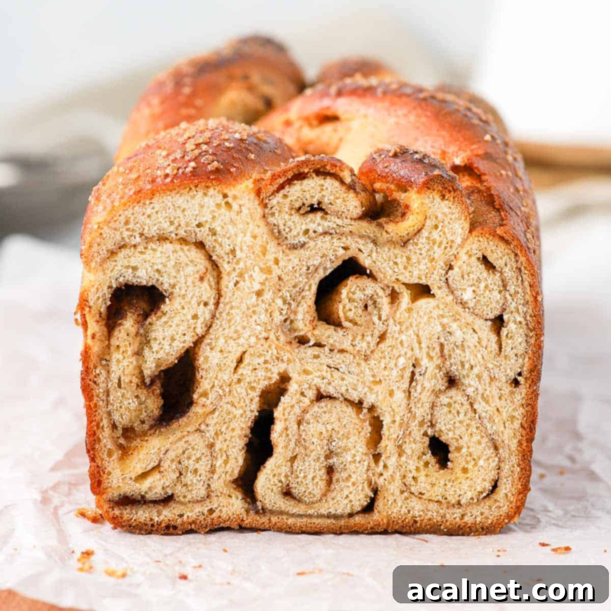 Crumb shot of the cinnamon roll bread showing beautiful swirls of cinnamon filling.