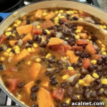 A large pot of Black Bean Sweet Potato Soup on the stove, with a serving spoon inside, showing rich texture and vibrant colors ready to be served.