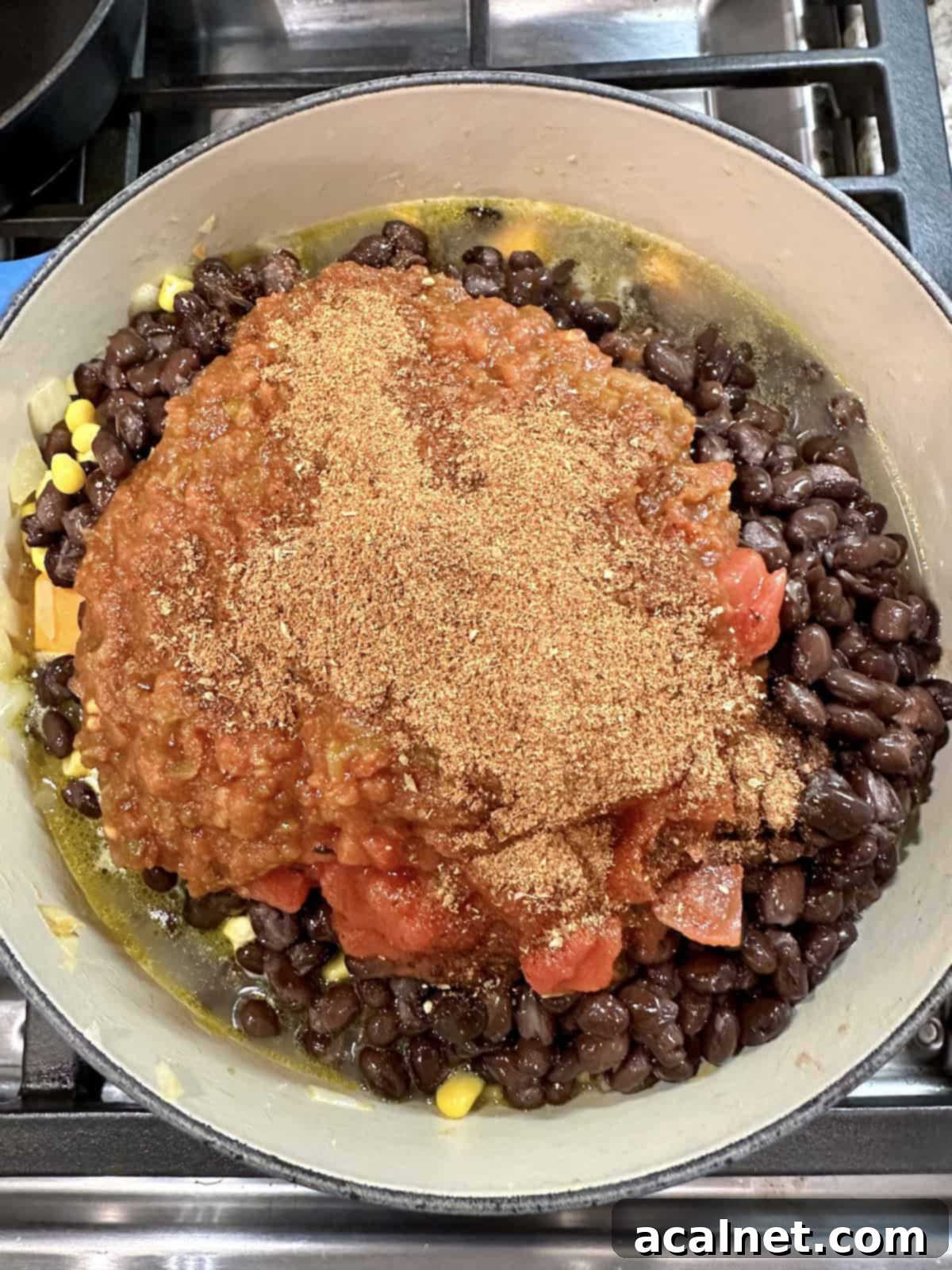 A colorful blend of chili powder, smoked paprika, cumin, garlic salt, and oregano spices generously sprinkled over the simmering black bean sweet potato soup.