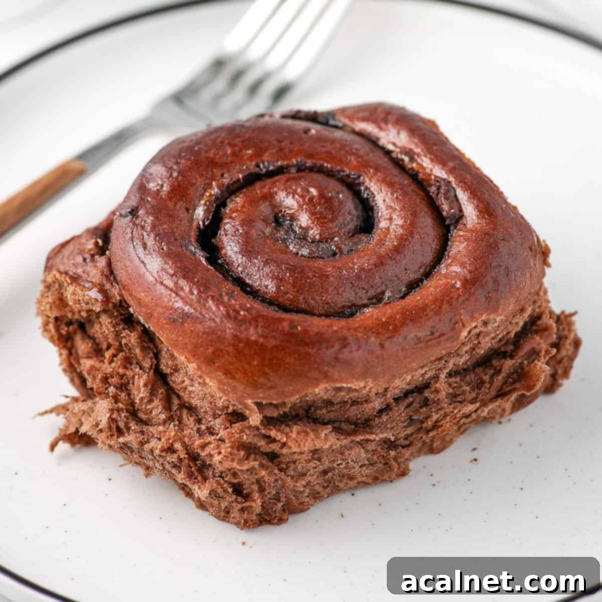 One triple chocolate cinnamon roll on a small white plate, drizzled with dark chocolate ganache.