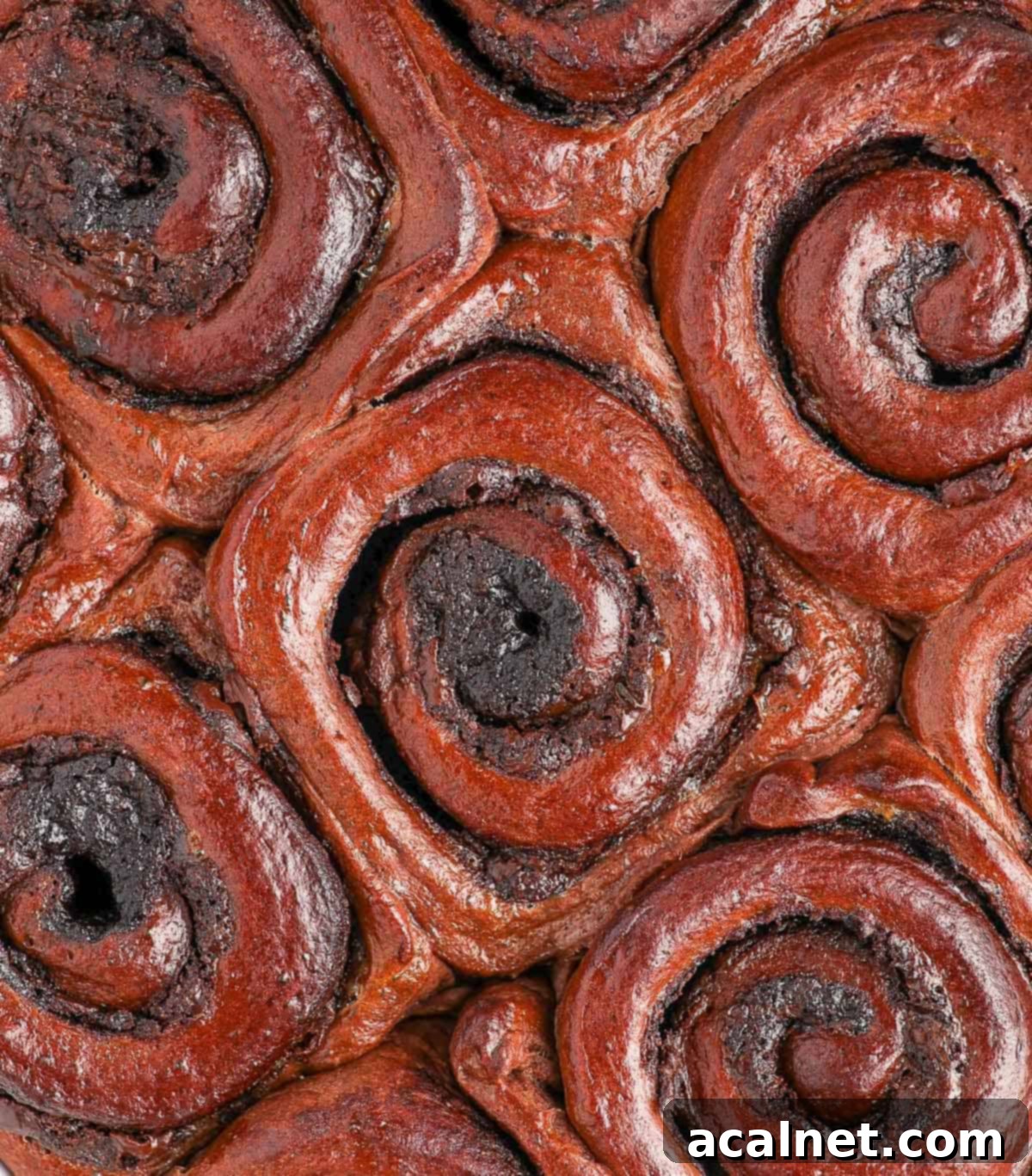 An inviting macro shot of warm triple chocolate cinnamon rolls in a baking pan, highlighting the swirled layers and chocolate chunks.