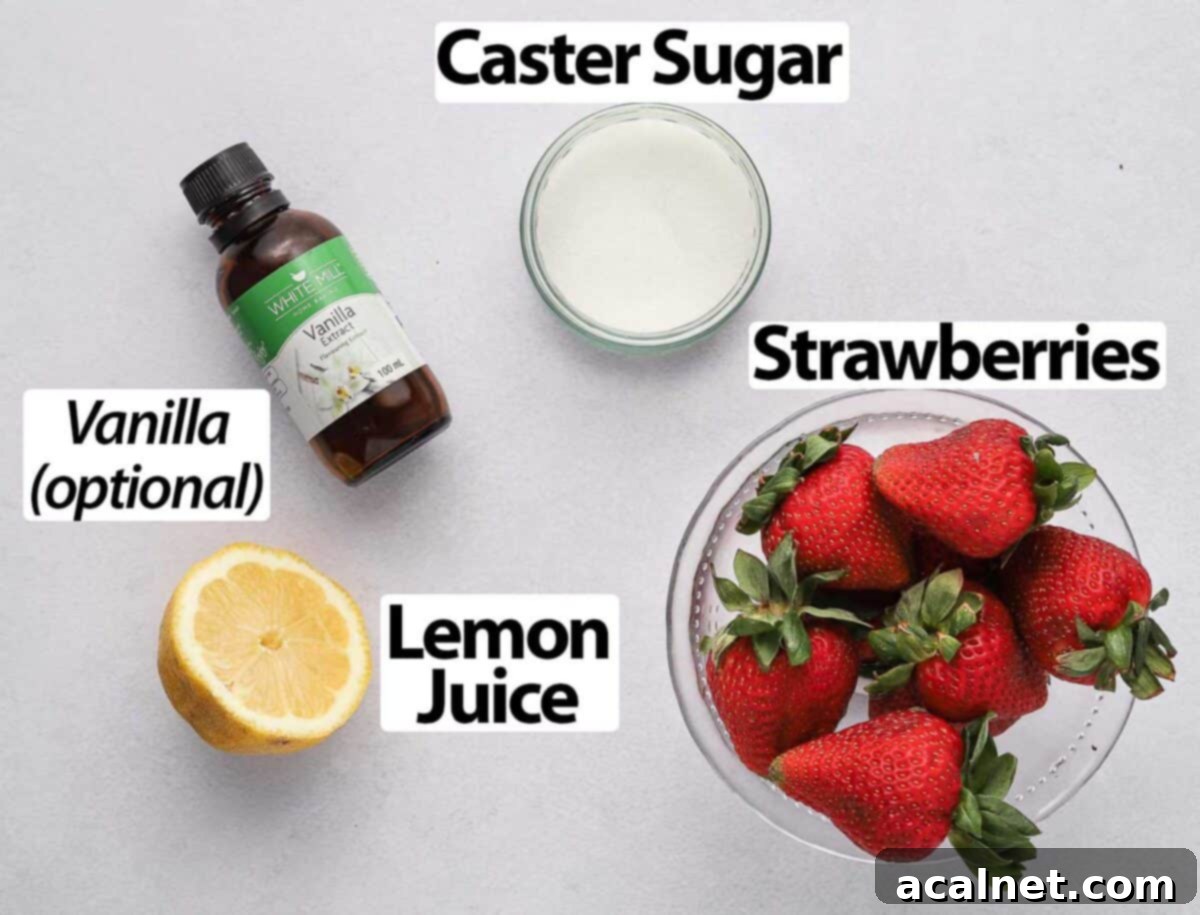 Ingredients for strawberry compote arranged on a grey surface: fresh strawberries, sugar, a lemon, and vanilla extract.