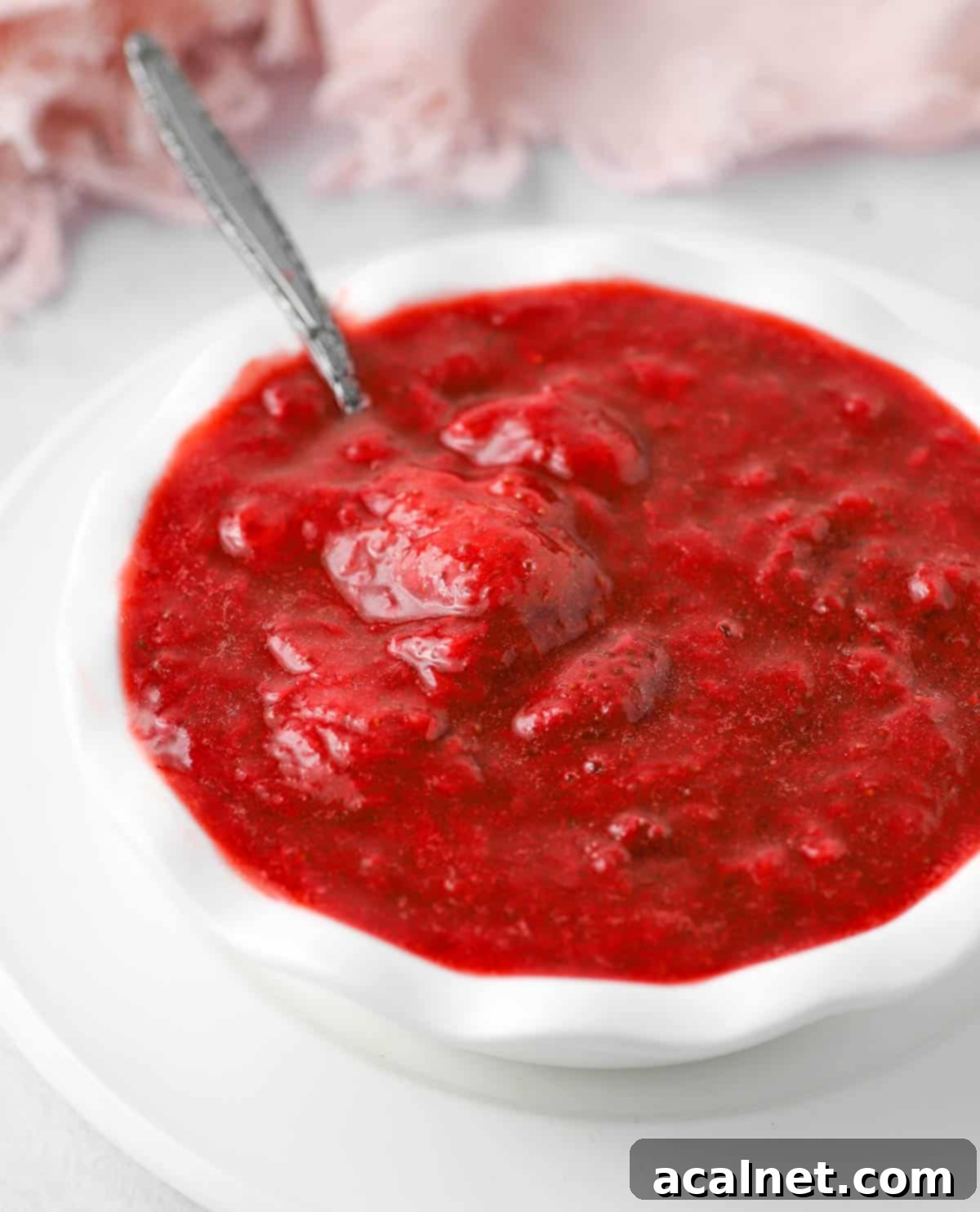 Side view on the compote with a silver spoon in.