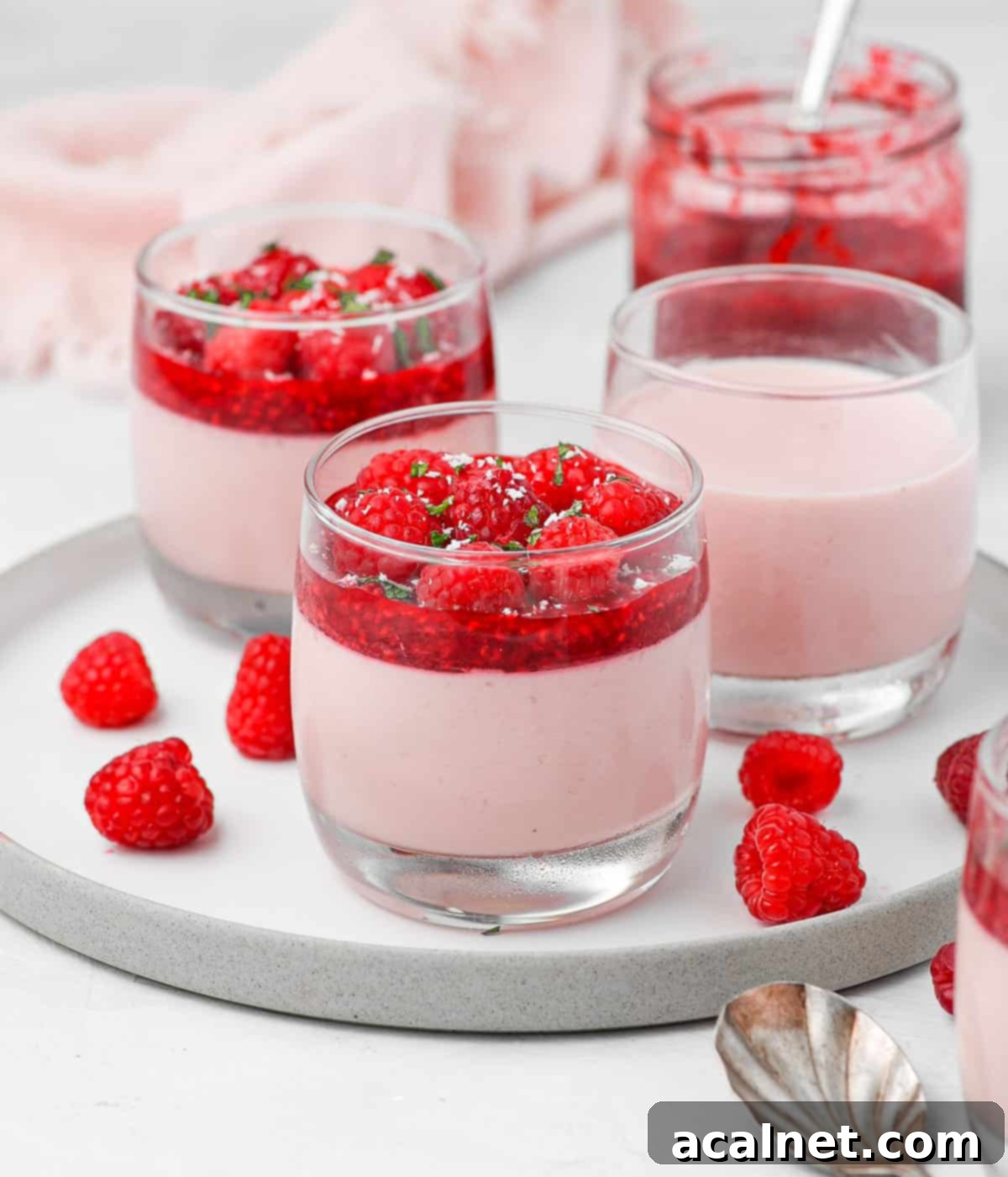 Effortless Raspberry Panna Cotta 9 3 cups of raspberry panna cotta on a white plate surrounded by fresh raspberries.
