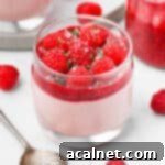 Effortless Raspberry Panna Cotta 10 Close up on a raspberry panna cotta cup with fresh raspberries and some mint, showing the finished dessert.