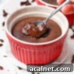 A spoon dipping into a warm chocolate fondant cake, revealing its molten, gooey center. The rich, dark chocolate interior is inviting and decadent, served in a ramekin.