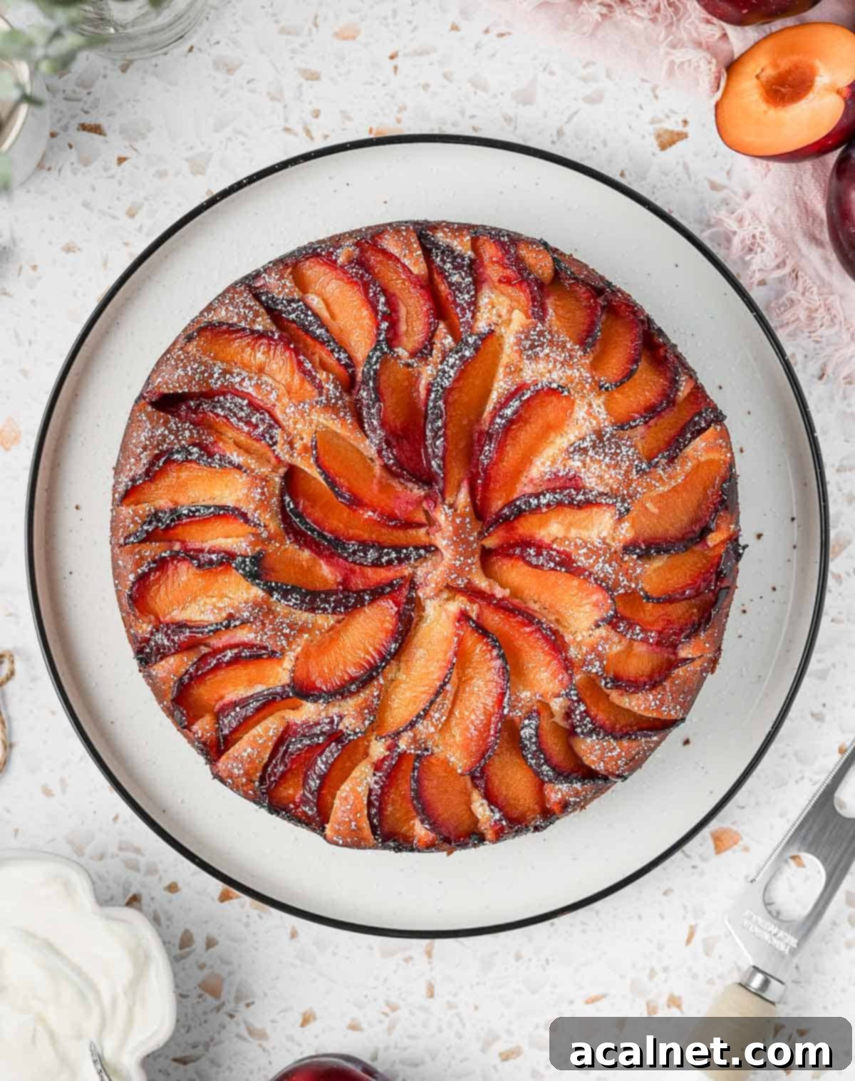 A beautifully baked and cooled Yogurt Plum Cake, seen from above, on a white plate. Shows the perfectly arranged plum slices on top.