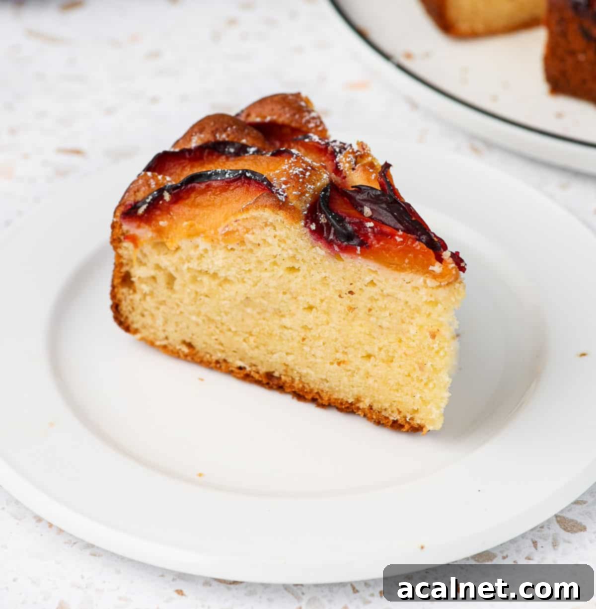 One slice of the fluffy Yogurt Plum Cake, showing its moist crumb and baked plum pieces, on a small white plate.