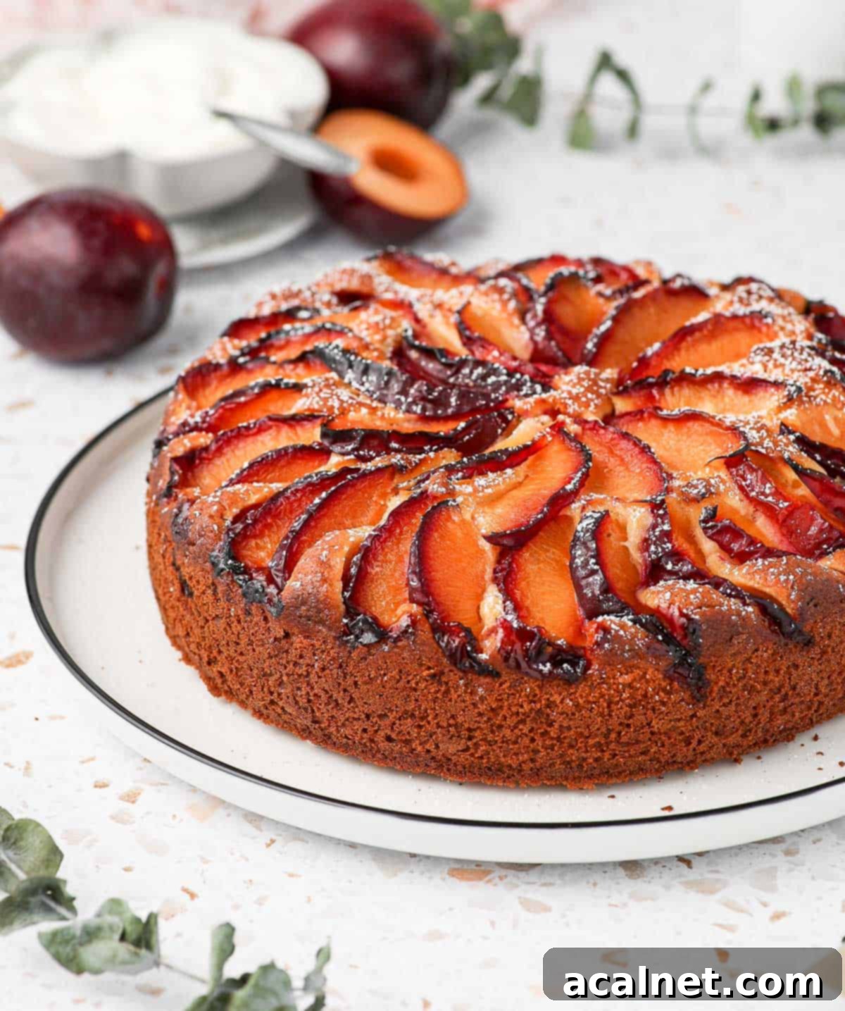 A beautifully presented Yogurt Plum Cake on a white plate, surrounded by fresh plums, green leaves, and a small bowl of yogurt, showcasing its fresh and natural ingredients.