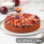 Plum Cake on a white plate topped with icing sugar.