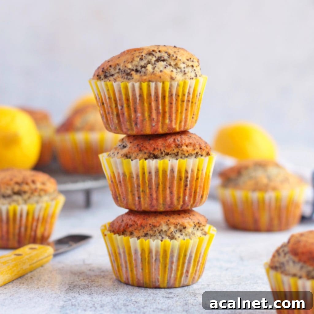 Stack of 3 Lemon and Poppy Seed Muffins - delightful sweet treats