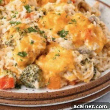 A plate featuring a generous serving of creamy chicken broccoli rice casserole with perfectly melted cheese on top.
