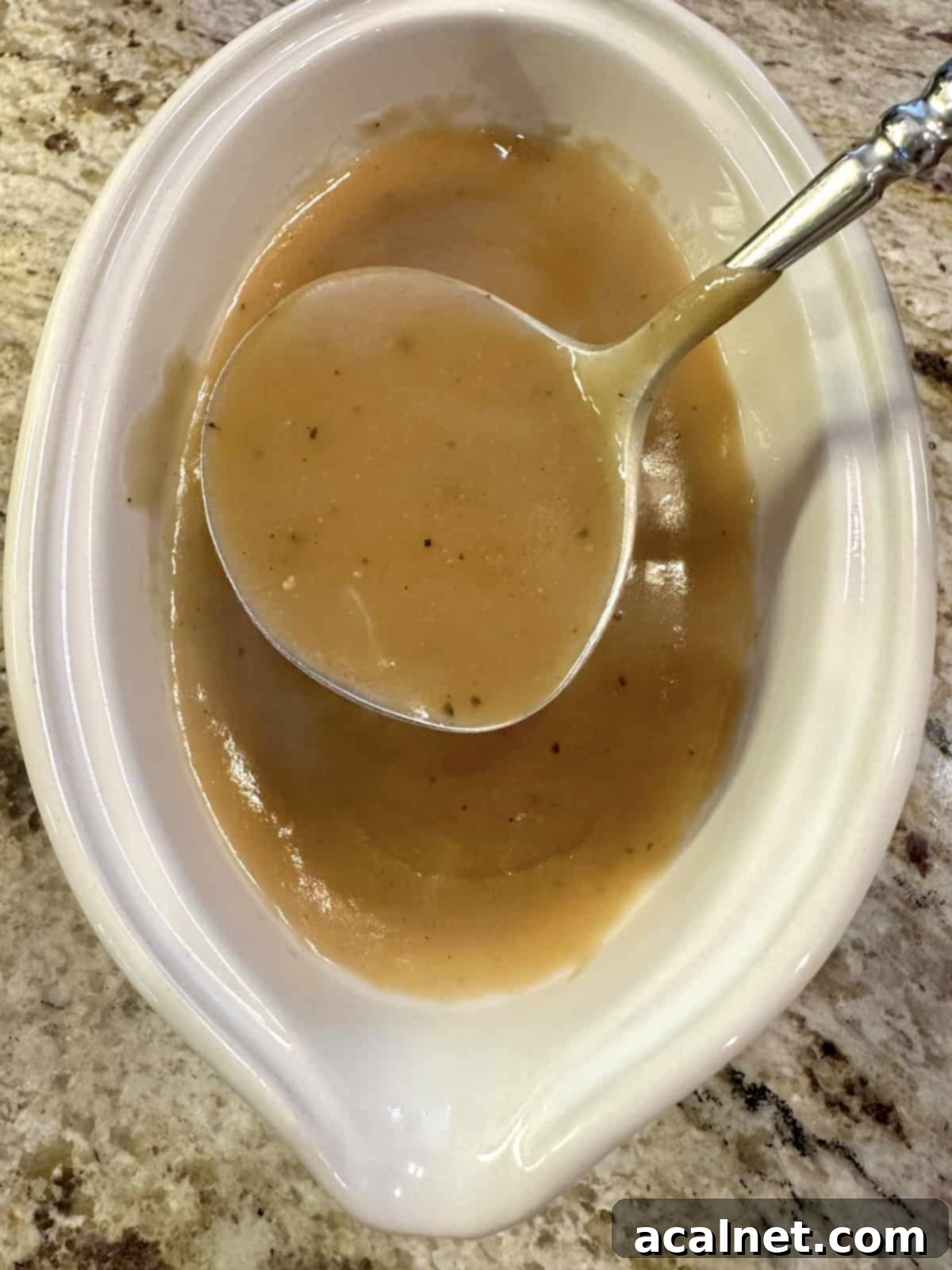 A gravy spoon in a serving bowl of rich, brown gravy.