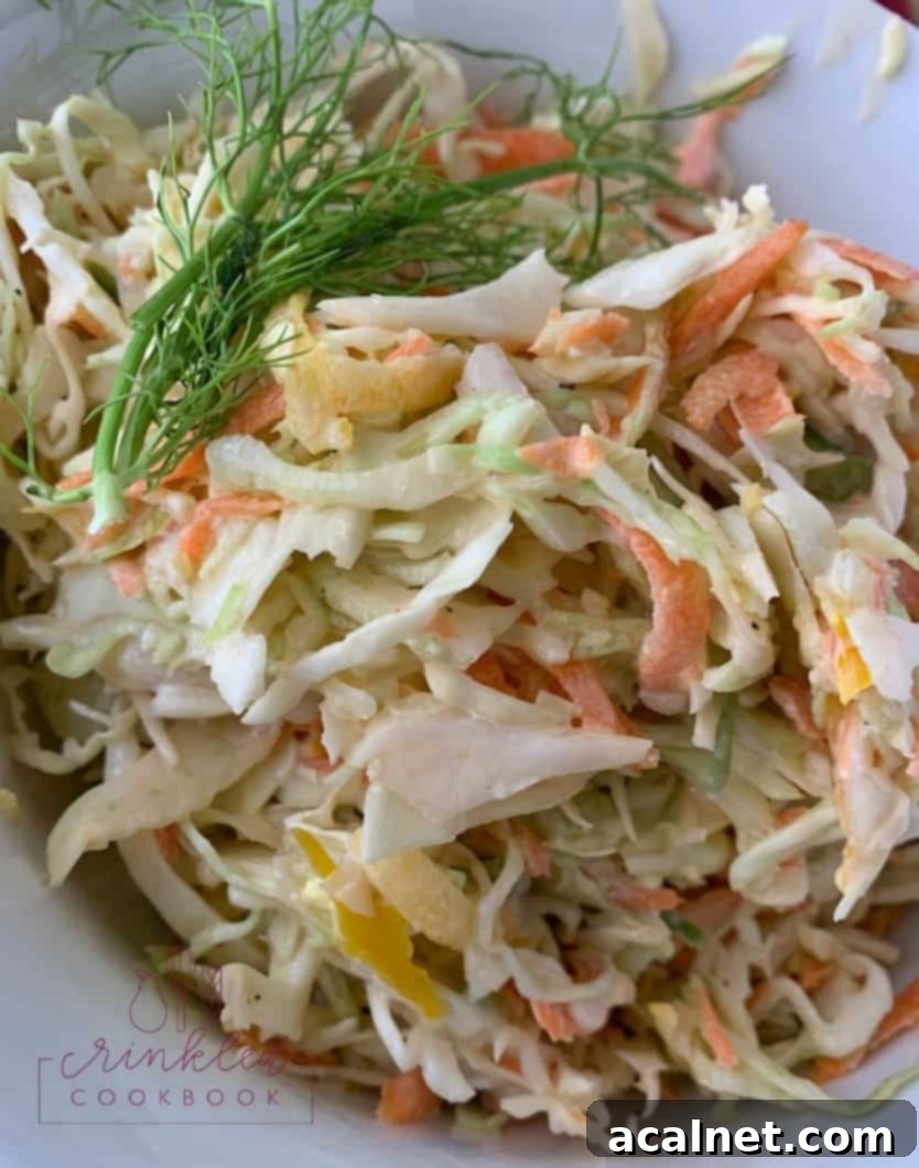 A vibrant serving of crunchy cole slaw with shredded cabbage, carrots, and thinly sliced fennel in a white bowl, ready to be enjoyed.